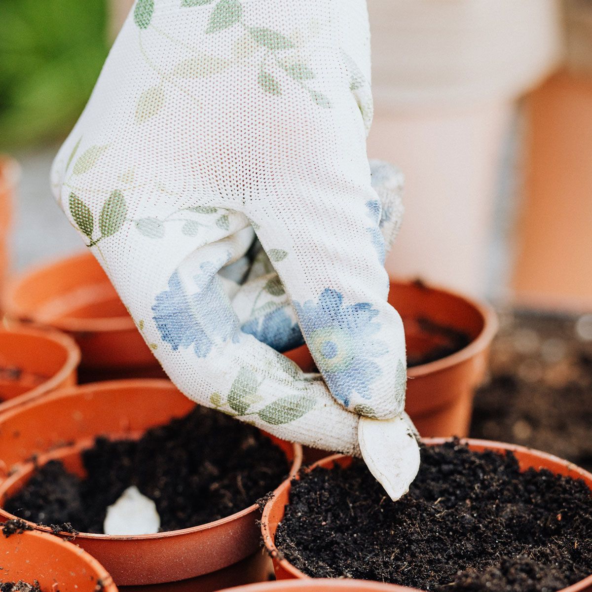 planting seeds in a flowerpot to represent how you can grow your career through regular care