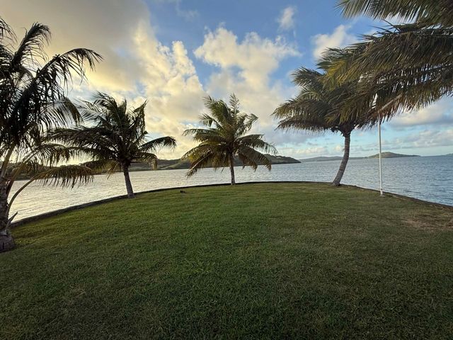 Palm trees on a grassy shore at sunset, overlooking a calm ocean and partly cloudy sky