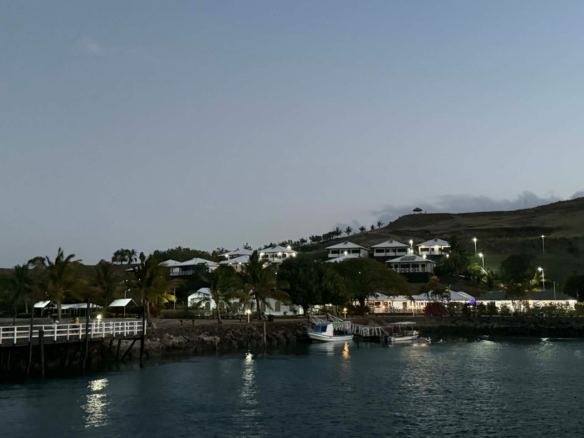 Harbor at dusk with calm water, lit waterfront buildings, and hillside homes under a gray sky