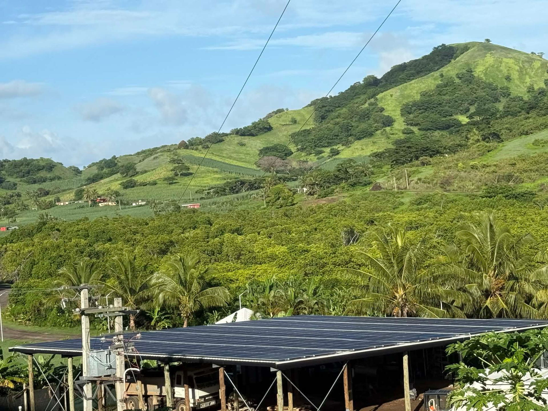Green hillside under blue sky above a rural farm with palm trees and a tin-roofed structure