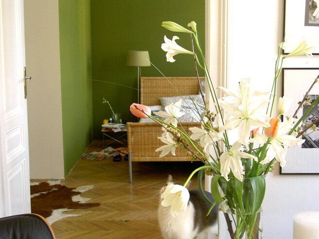 AirBnB
