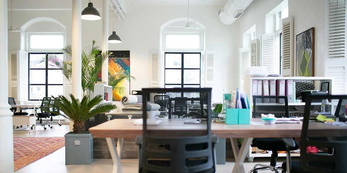 Bright office space with desks, plants, and large windows; natural light fills the room.