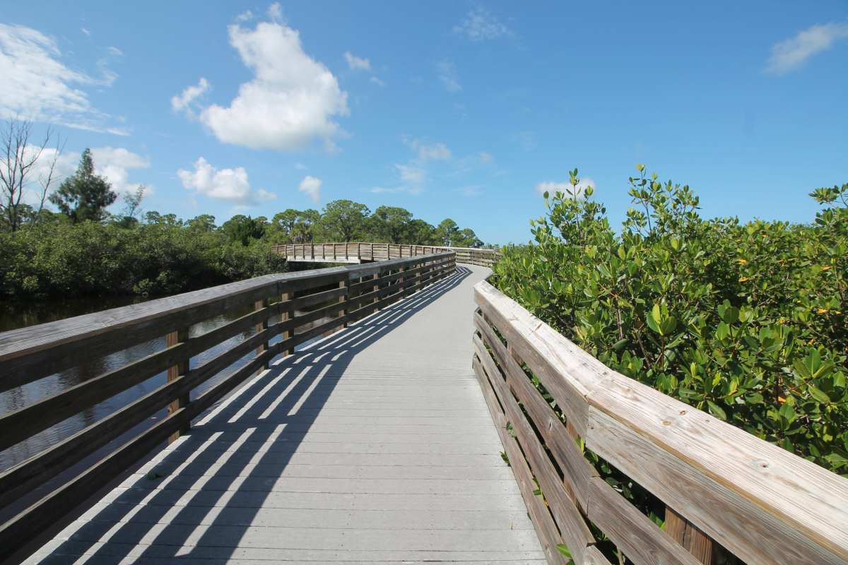 A wooden walkway going over a body of water