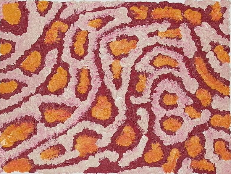 A close up of a pink and orange leopard print rug