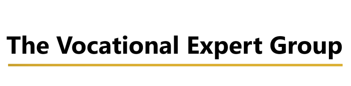 The Vocational Expert Group