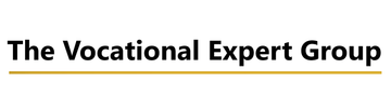 The Vocational Expert Group