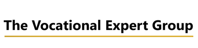 The Vocational Expert Group