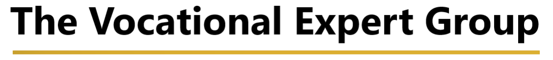 The Vocational Expert Group