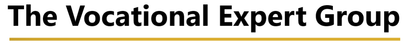 The Vocational Expert Group