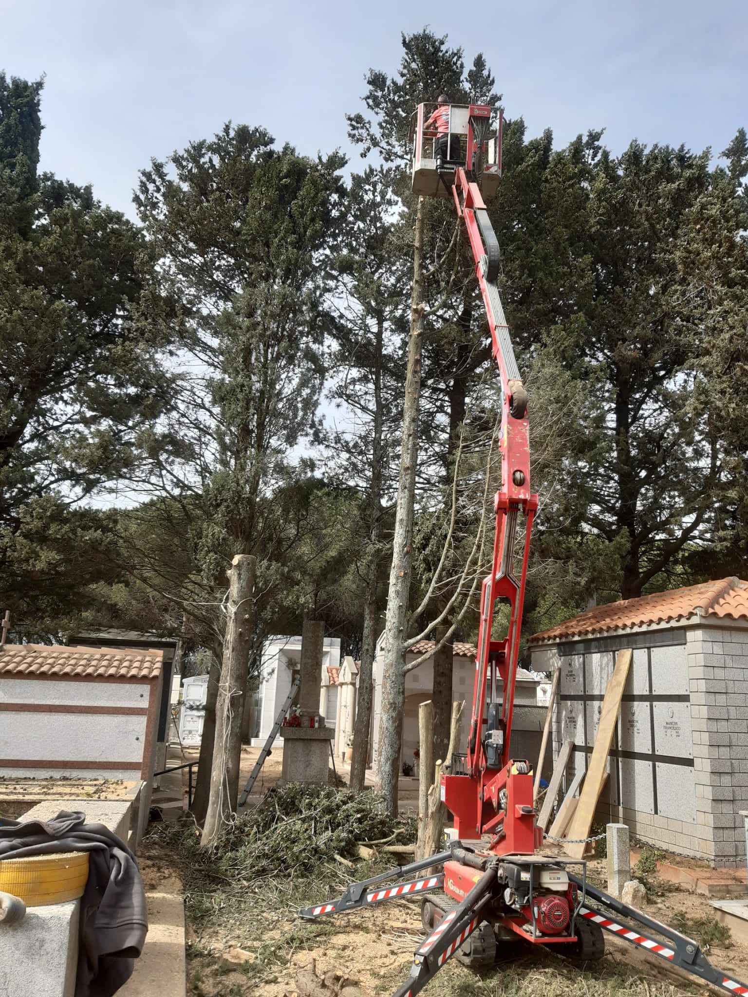 Una piattaforma elevatrice rossa pota un albero alto in un cimitero, circondato da lapidi e mausolei.