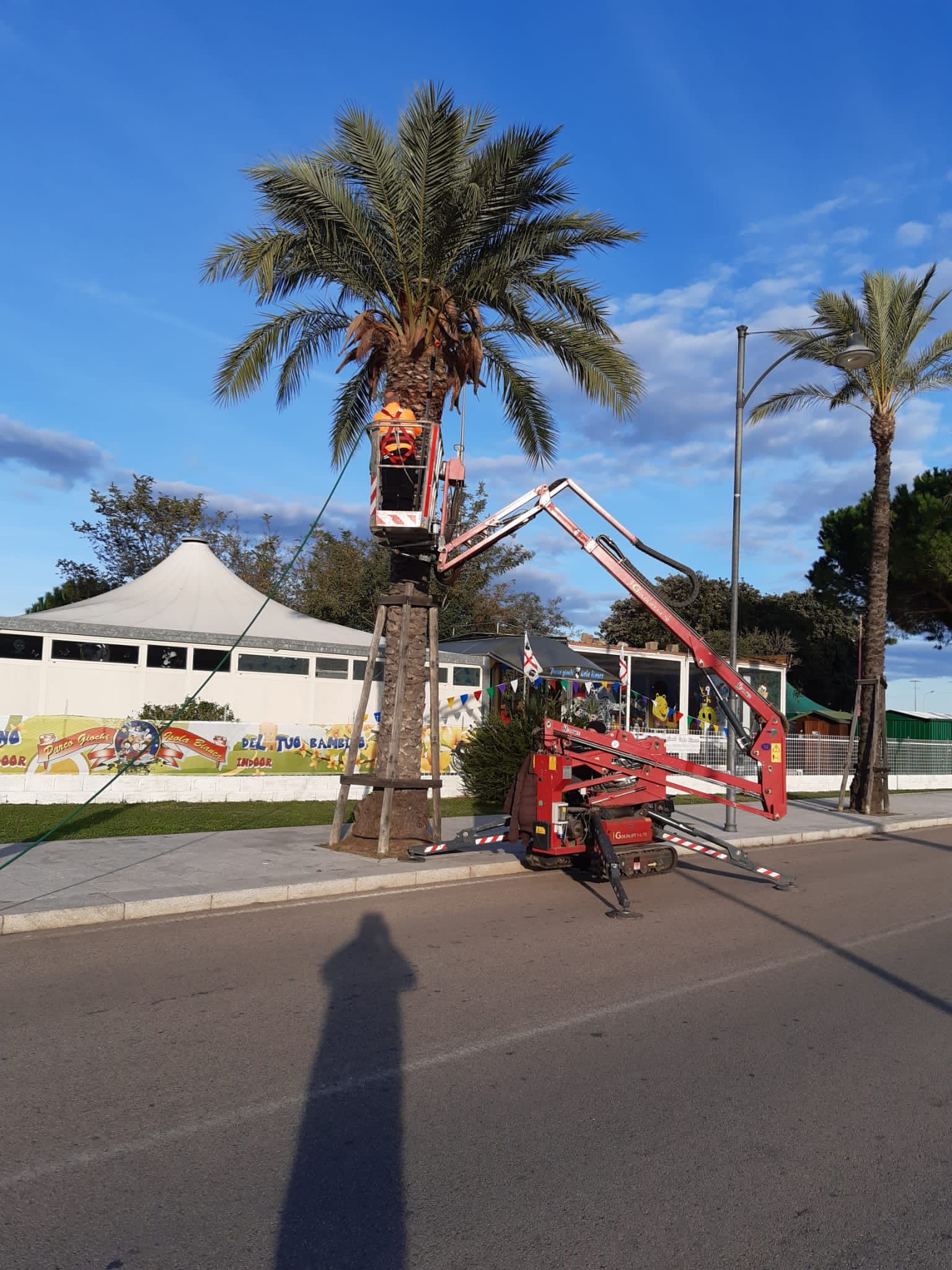 Un lavoratore su una piattaforma aerea pota una palma in una giornata di sole vicino a un edificio con un murale.