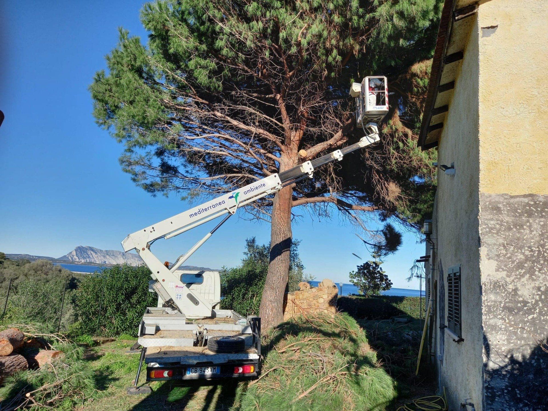 Un camion con piattaforma elevatrice sta potando un albero alto accanto a un edificio. Sullo sfondo, il mare.