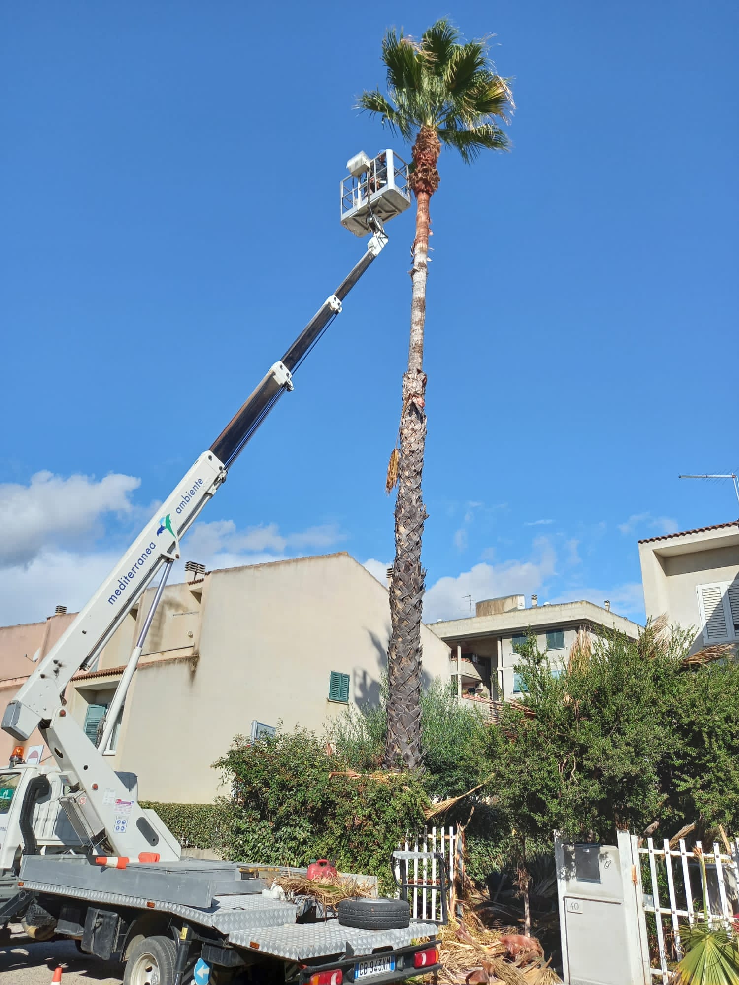 Un'alta palma viene potata da un operaio su una piattaforma aerea in una giornata di sole.