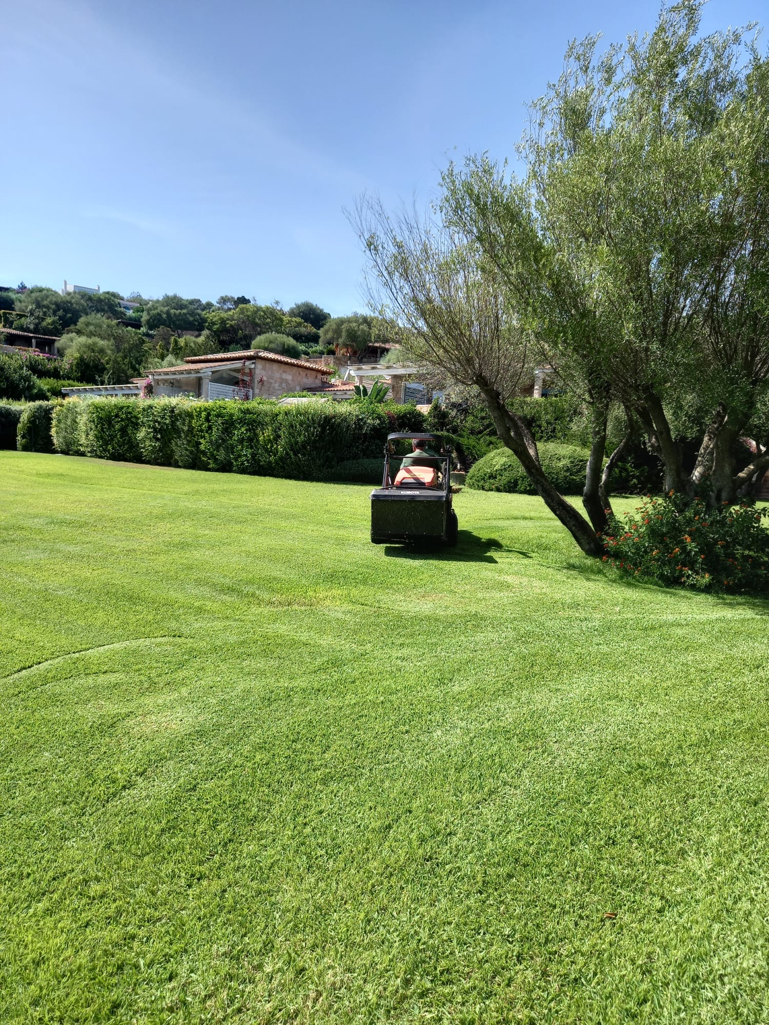 Persona che taglia l'erba di un grande prato verde sotto un cielo azzurro e soleggiato, vicino a un albero e a delle siepi.