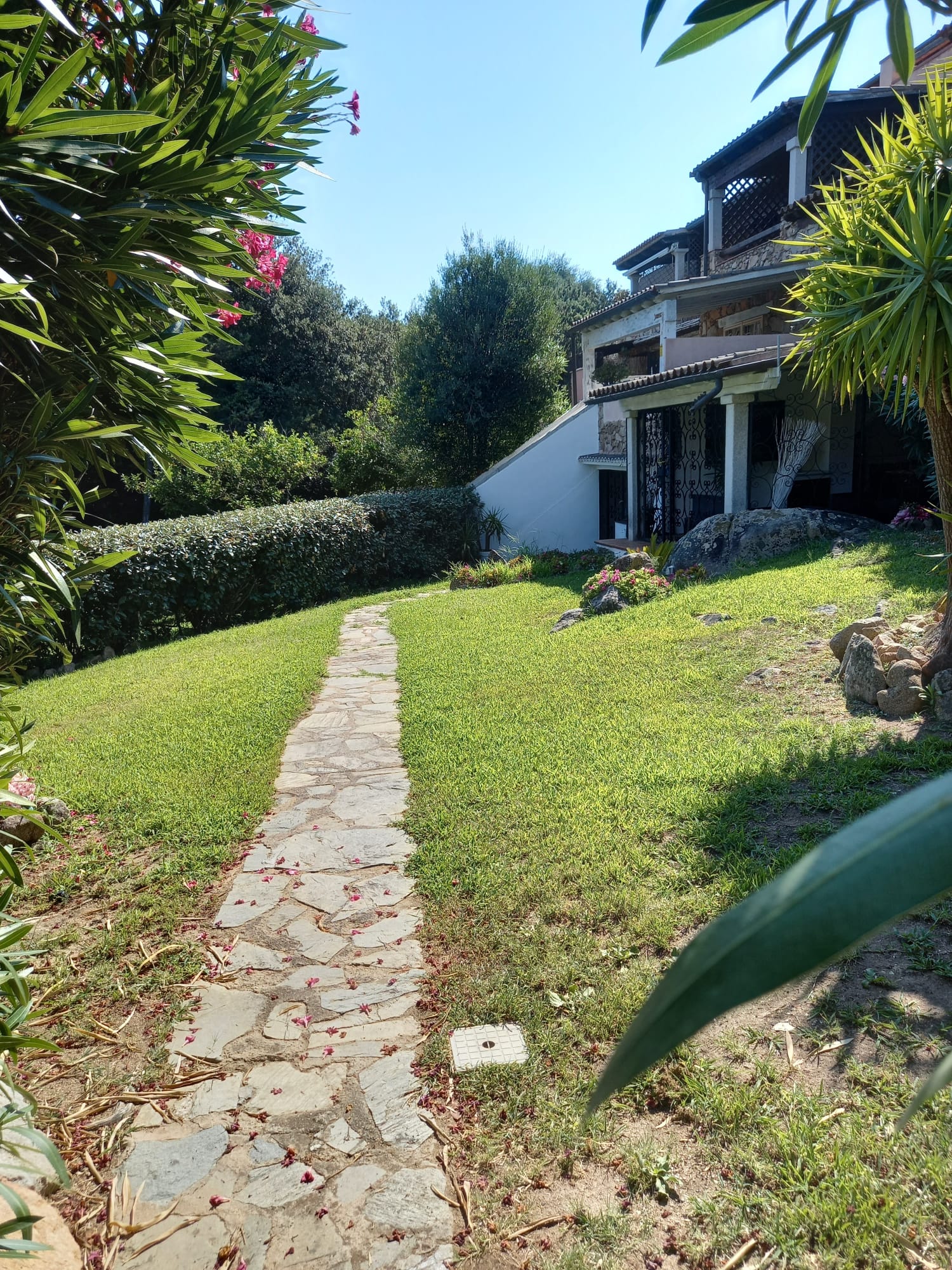 Un sentiero in pietra conduce a una casa con un prato verde e alberi.