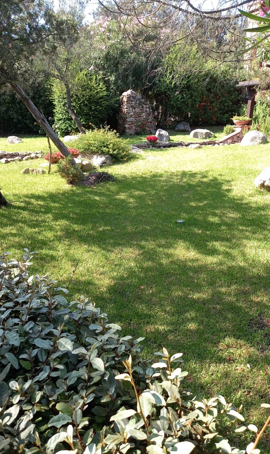 Lussureggiante giardino verde con prato erboso, alberi, cespugli e una struttura in pietra.