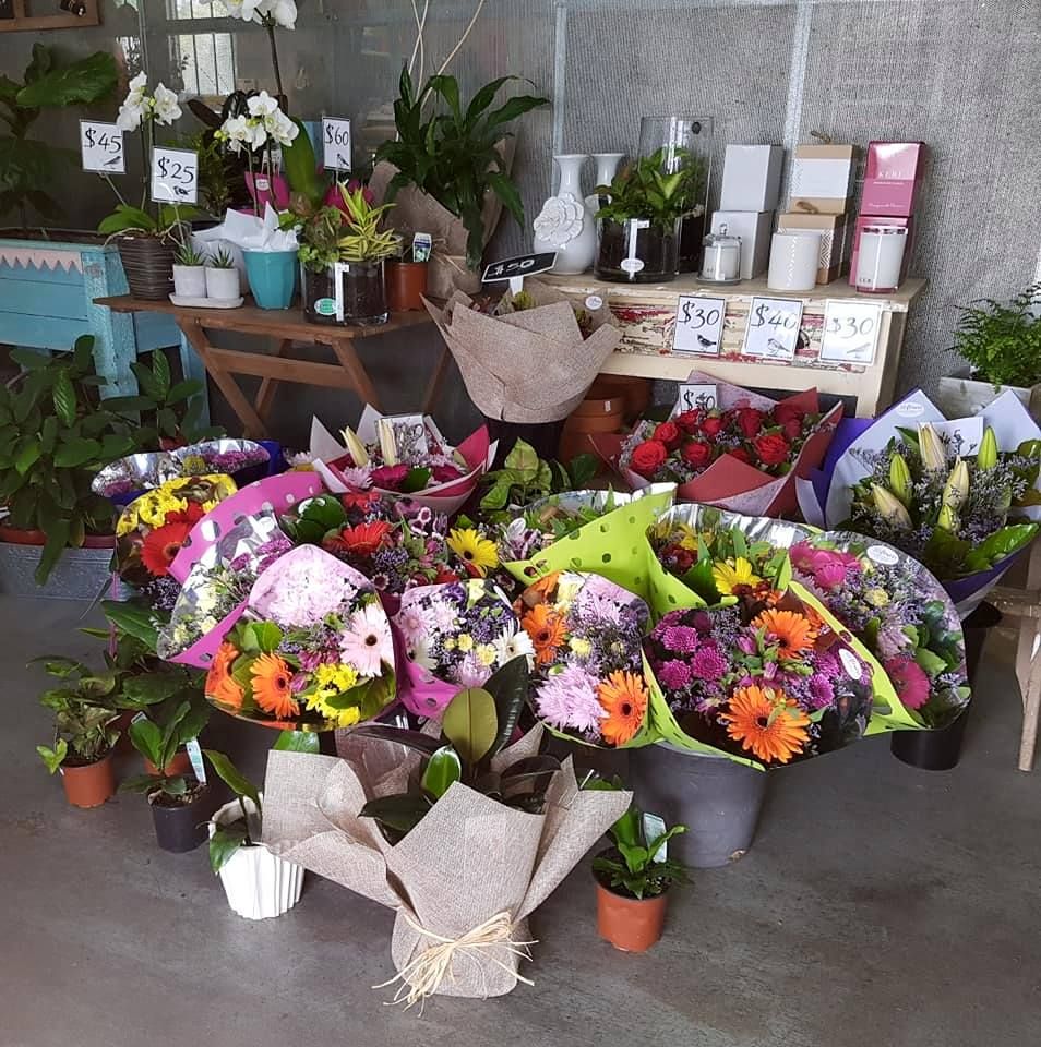 A Bunch Of Flowers And Potted Plants Are For Sale — Ivy & Ash Flowers & Gifts in Palmview, QLD
