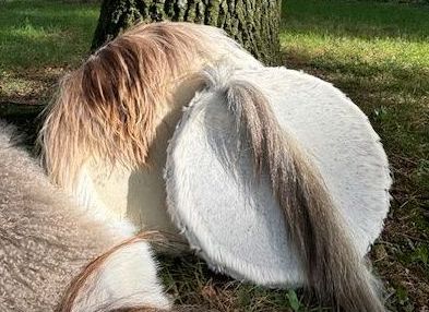 sjamanendrum paard sjamanendrum geit
