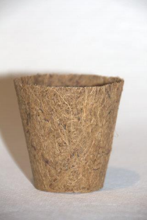 Small tan cylindrical fiber planter or cup with a flared top on a white background