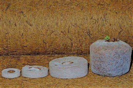 Four white round rolls of varying sizes lined up against a brown textured wall.
