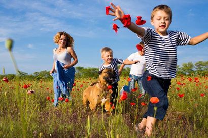 Children and an adult running through a flowered meadow, tossing red petals in bright sunlight