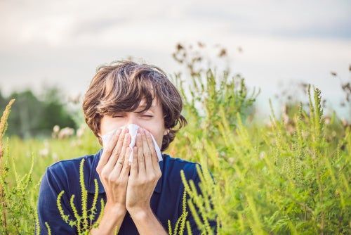 Person in a field blowing their nose into a tissue among tall green plants.