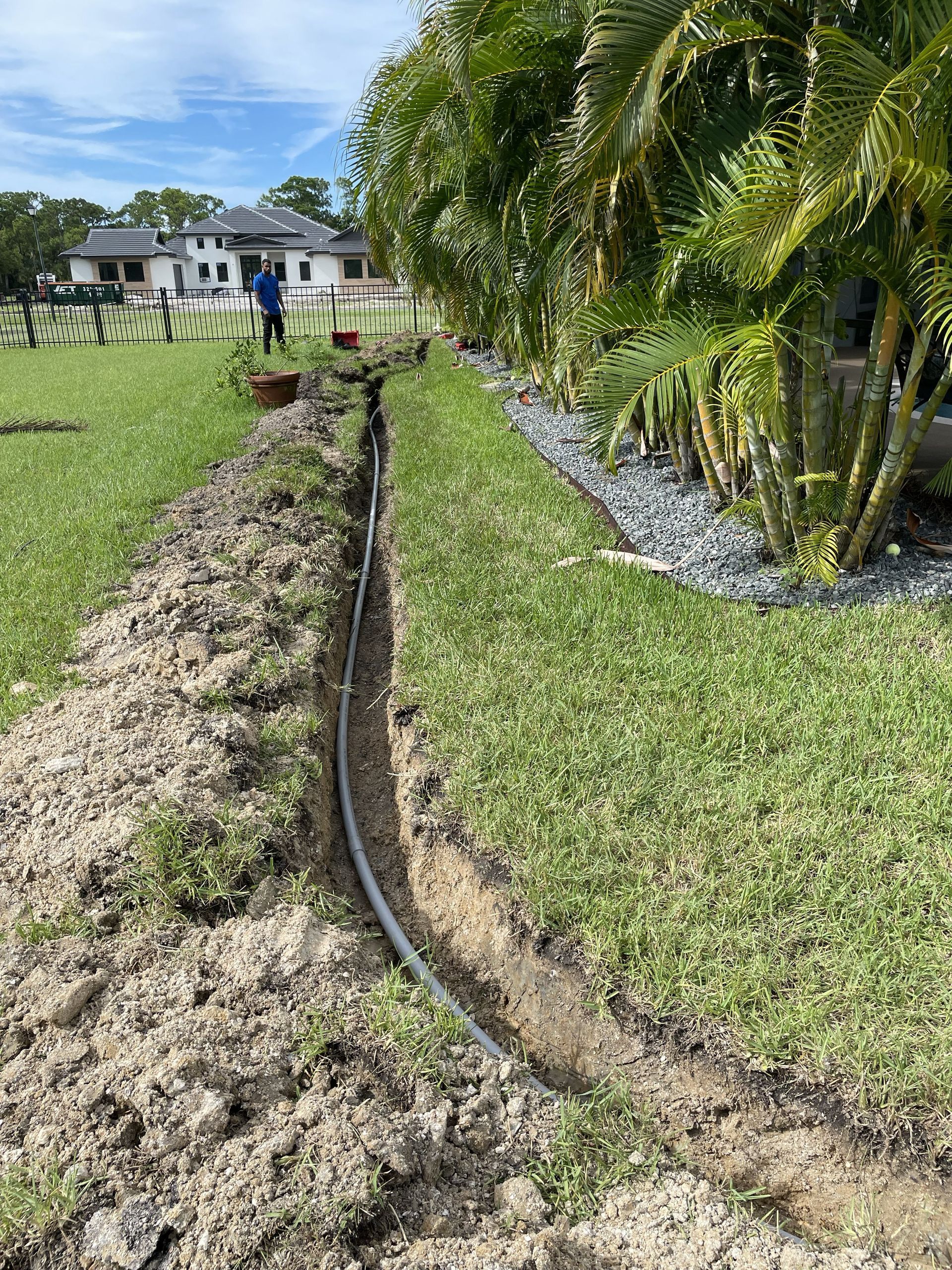 Irrigation hose along a grassy yard beside palm trees and a house