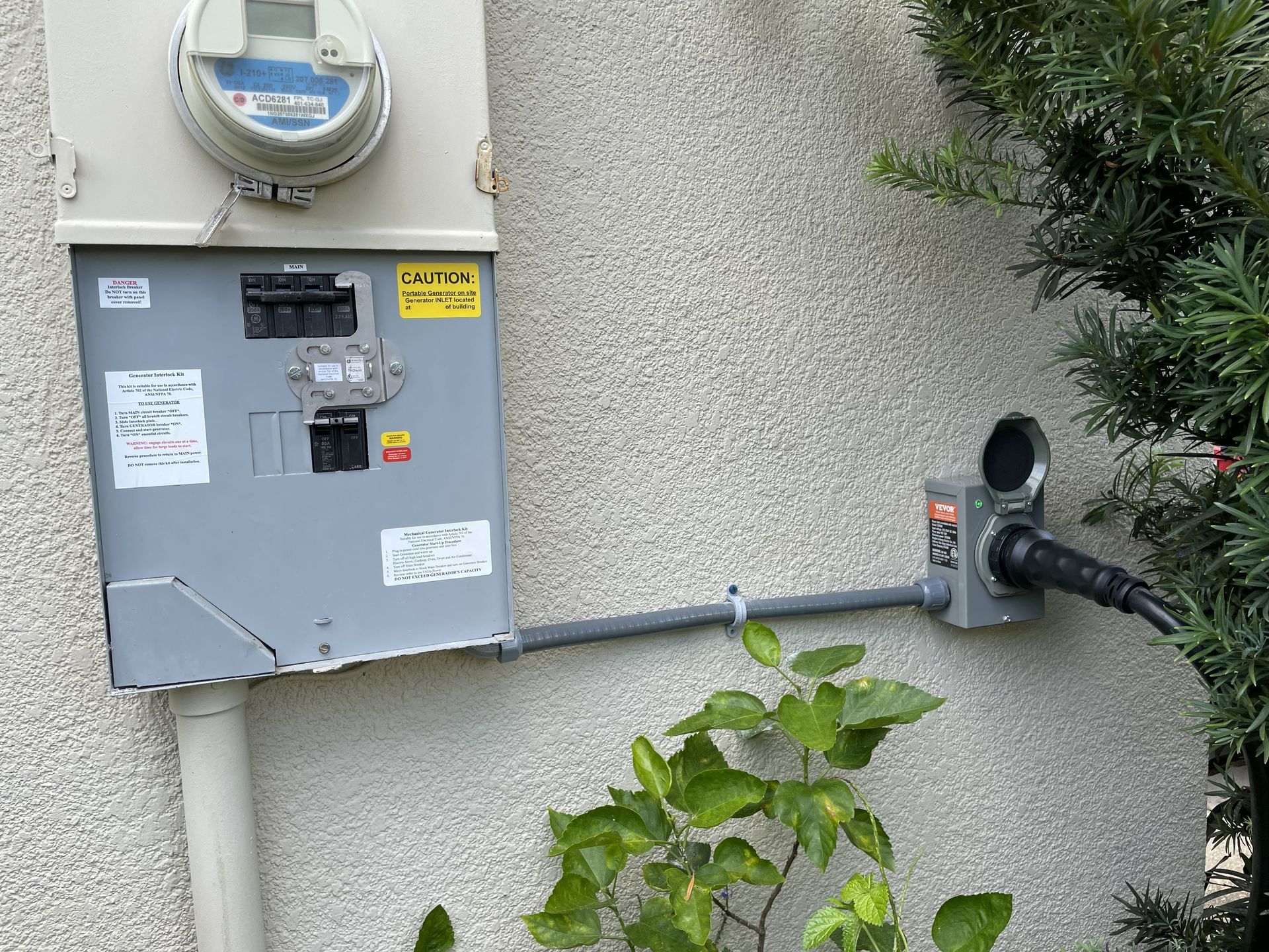 Utility meter and electrical panel mounted on an exterior wall beside a conduit and plants.