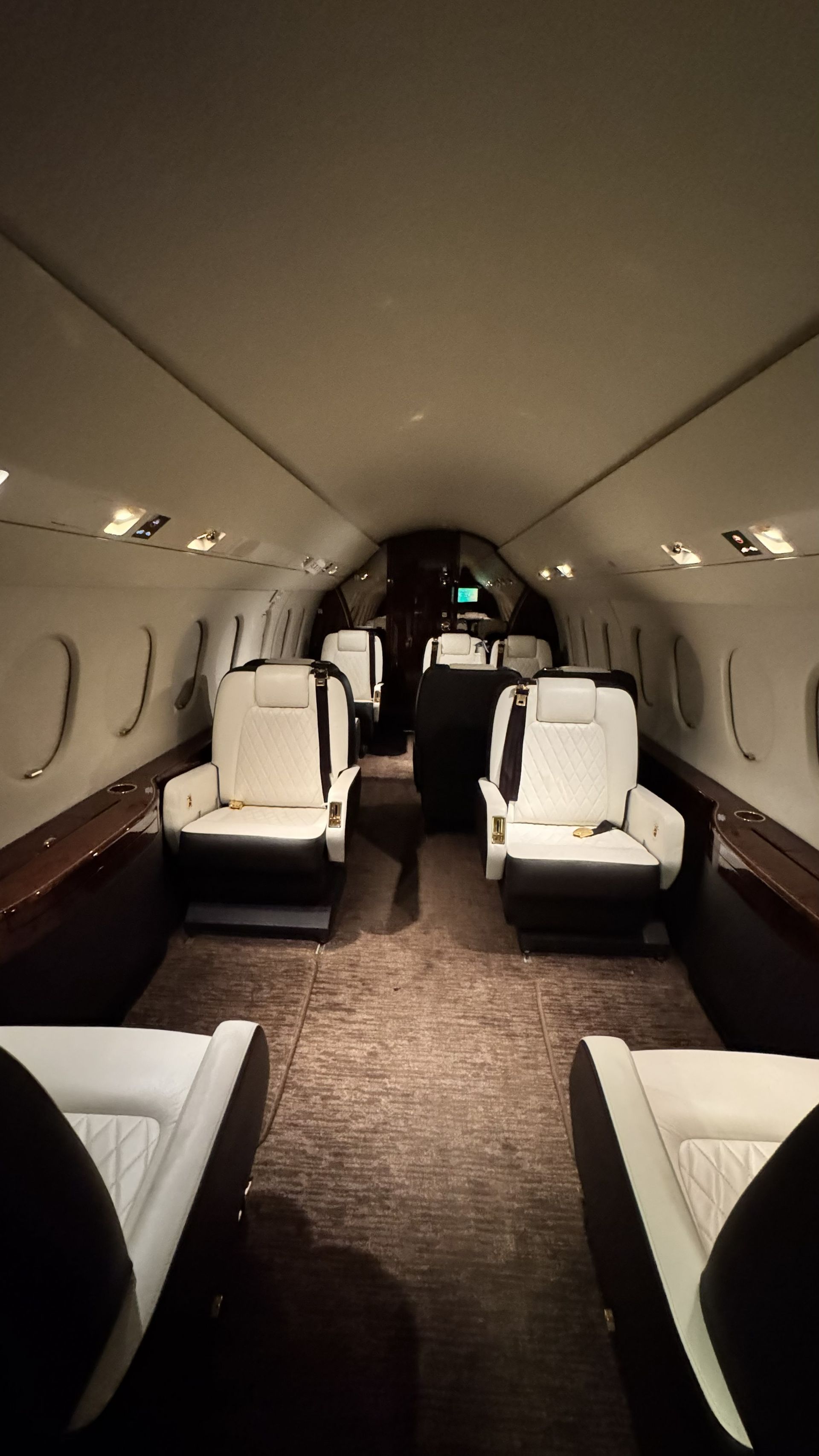 Interior of a private jet cabin with white leather seats and beige walls