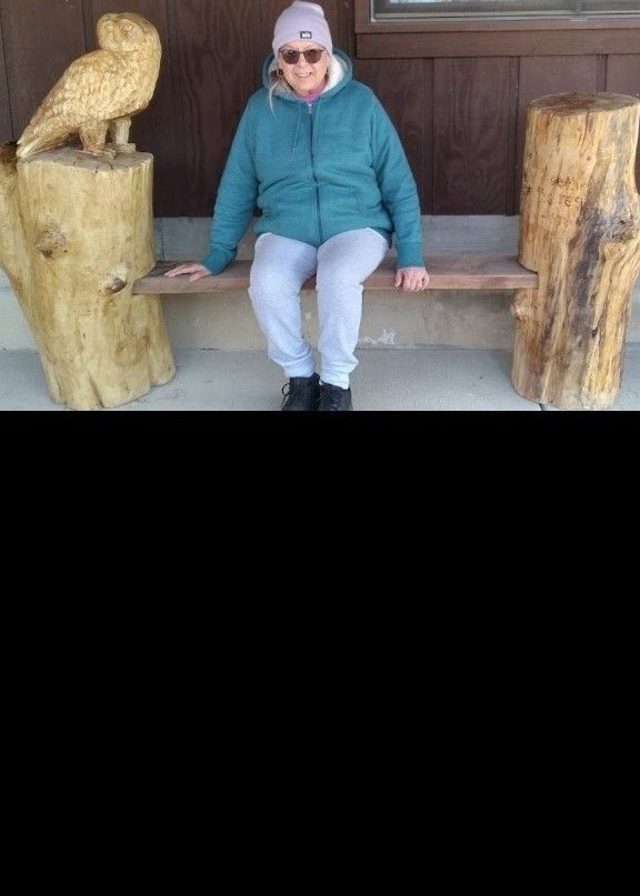 Person sitting on a wooden bench beside carved owl and log posts on a porch