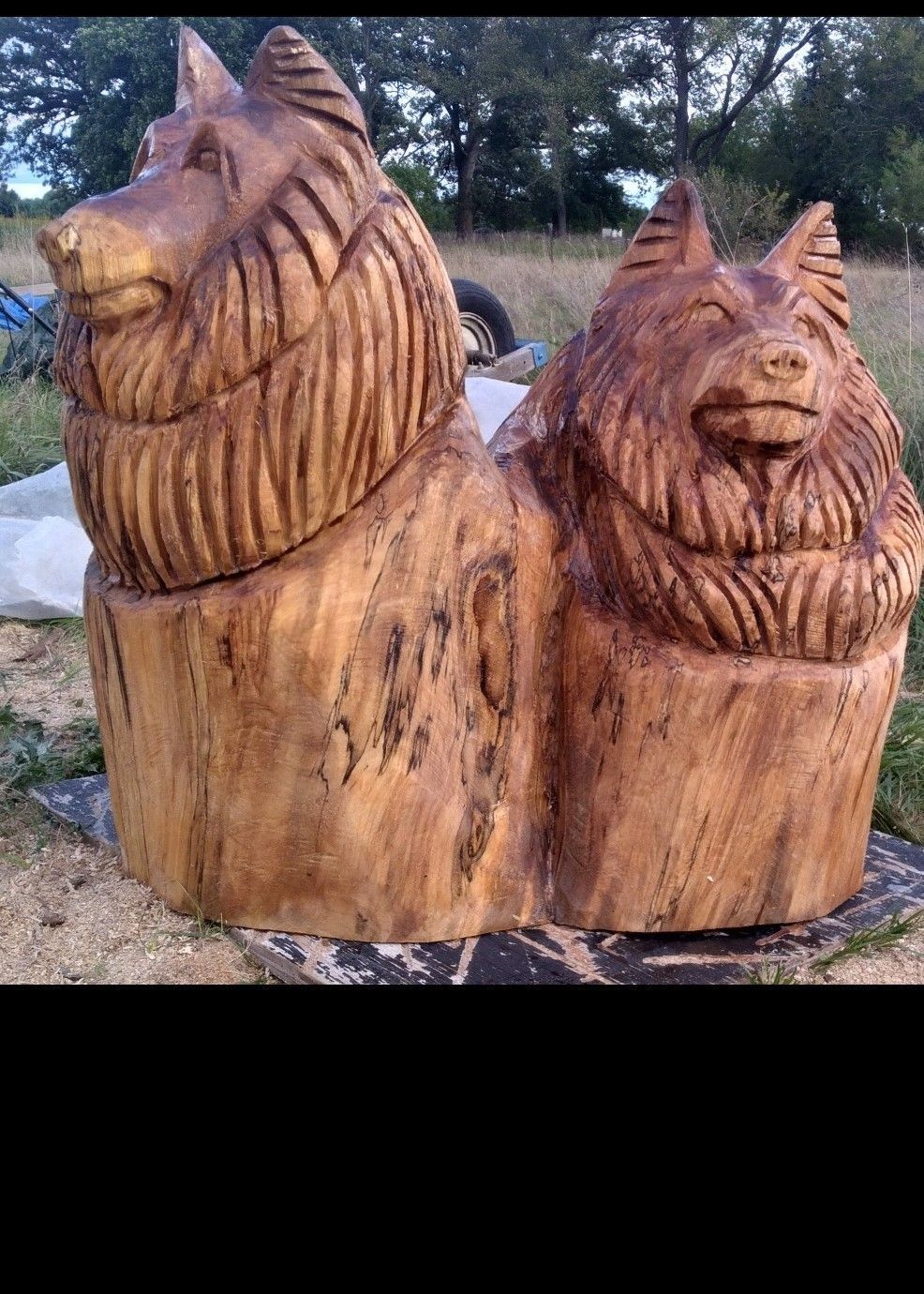 Two carved wooden wolf statues with detailed fur, side by side outdoors on a log base.