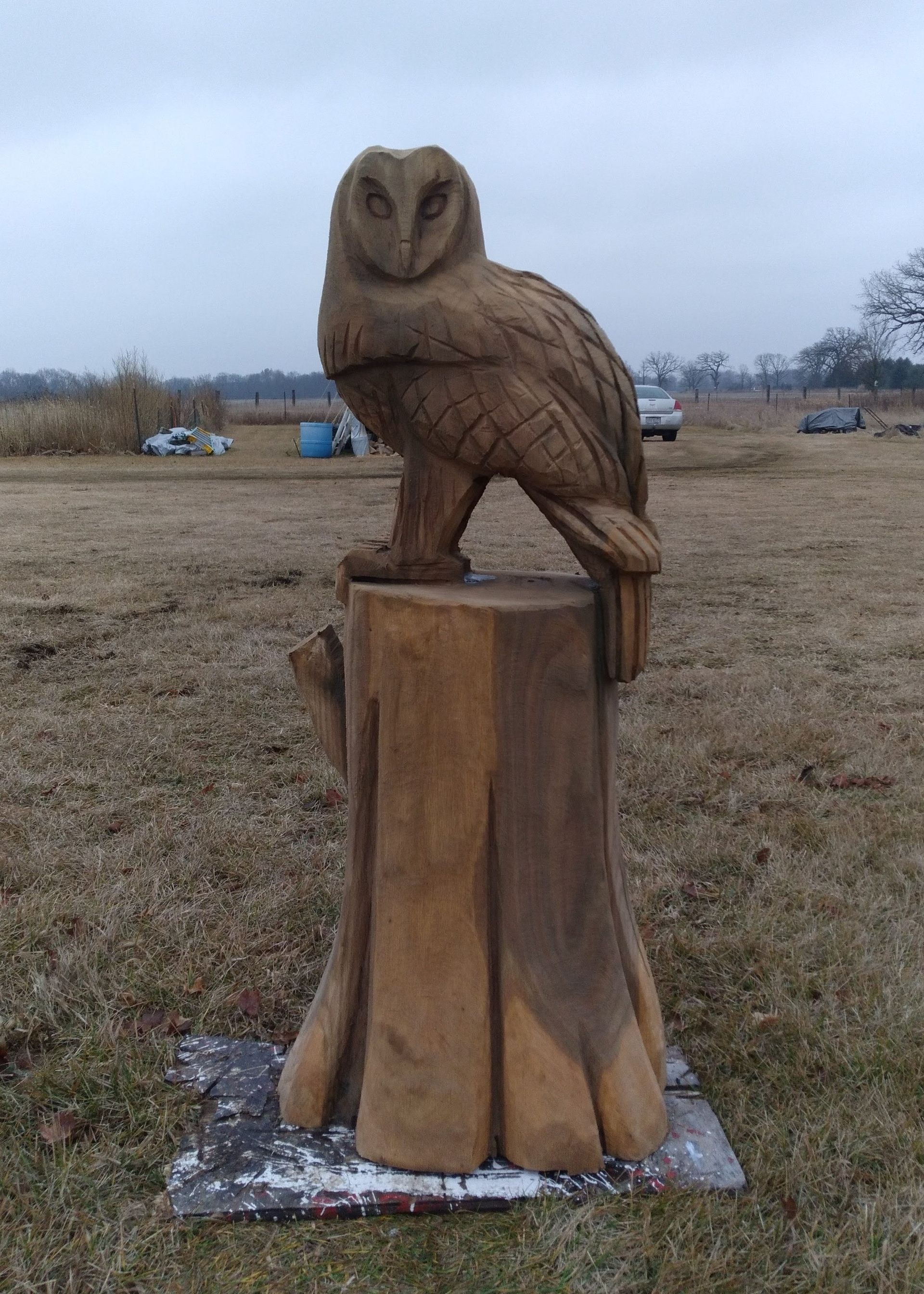 Wooden owl sculpture on a tree stump in a grassy field under an overcast sky.