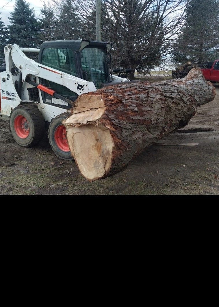 White skid steer lifting a large log outdoors with trees in the background
