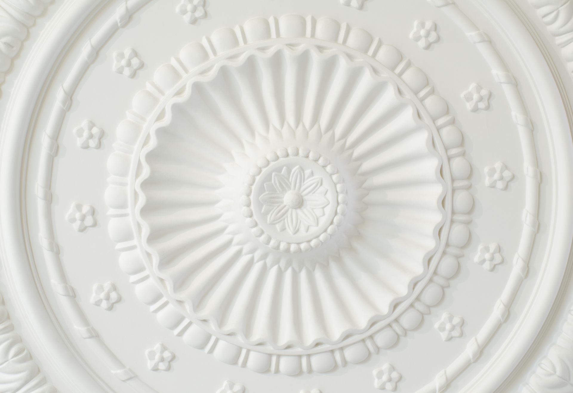 A white ceiling rose plate close-up. A white ceiling rose plate close-up.