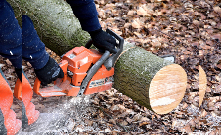 A person is cutting a log with a chainsaw.