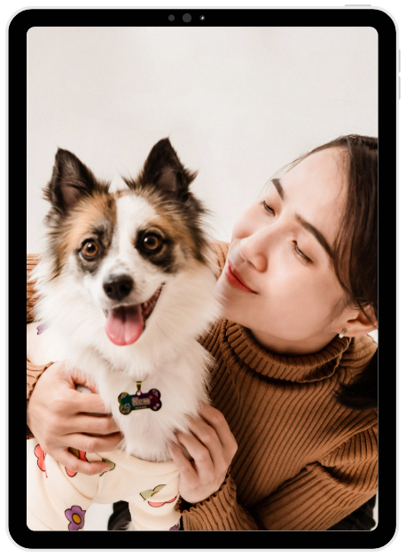 I WATCH PETS - Pet Sitting, Pet Walking, Pet Services