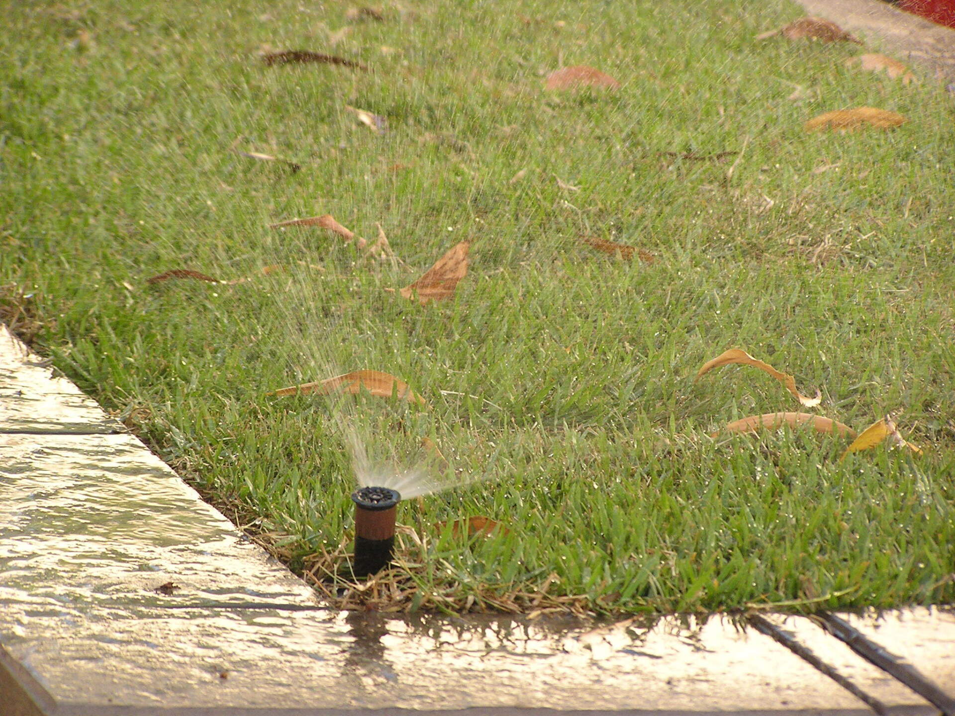 Irrig8 Irrigation in Darwin