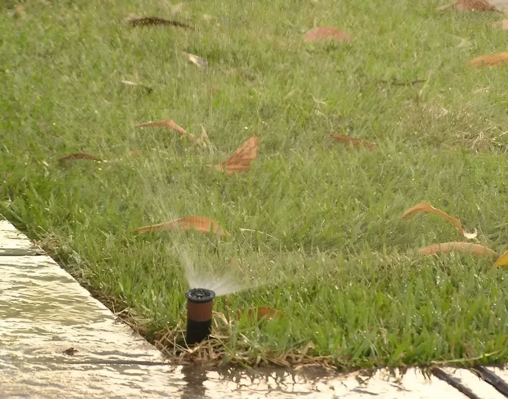 A Sprinkler Is Spraying Water On A Lush Green Lawn — Irrig8 in Palmerston, NT