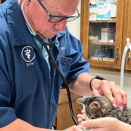 Checkup - Eufaula, AL - Gardner Animal Hospital Checkup - Eufaula, AL - Gardner Animal Hospital