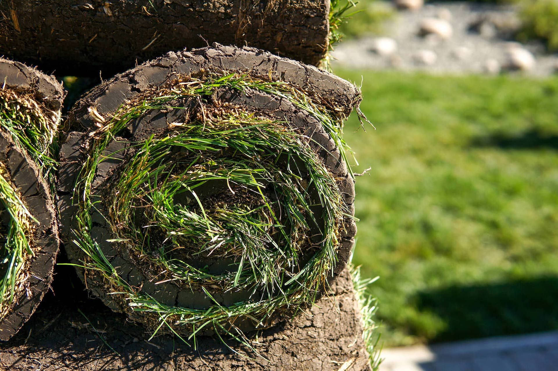 A bunch of rolls of grass are stacked on top of each other