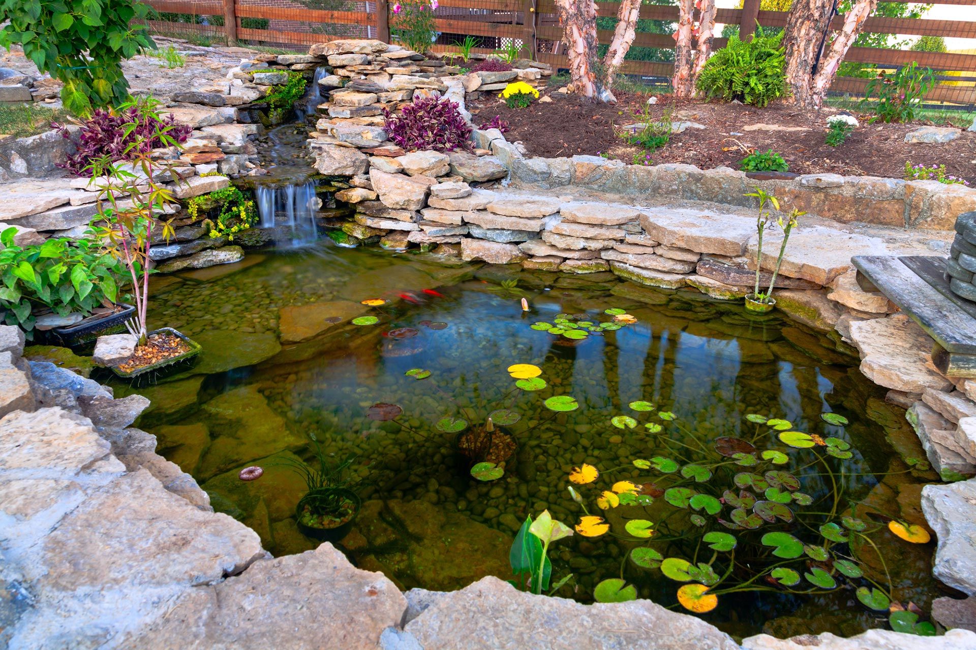 A pond filled with water lilies and a waterfall in a garden.