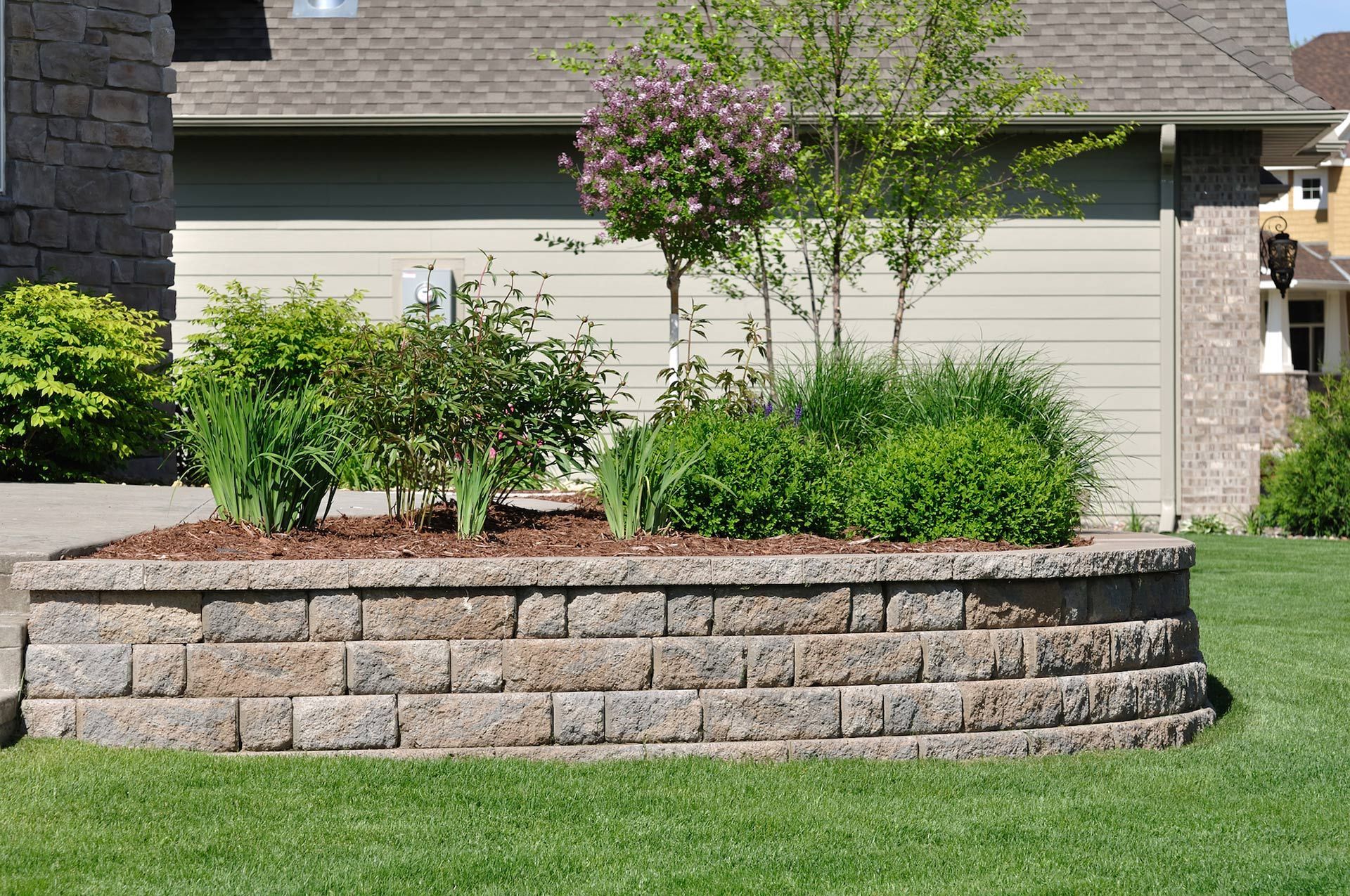 Raised stone planter with shrubs and a small flowering tree in front of a house lawn