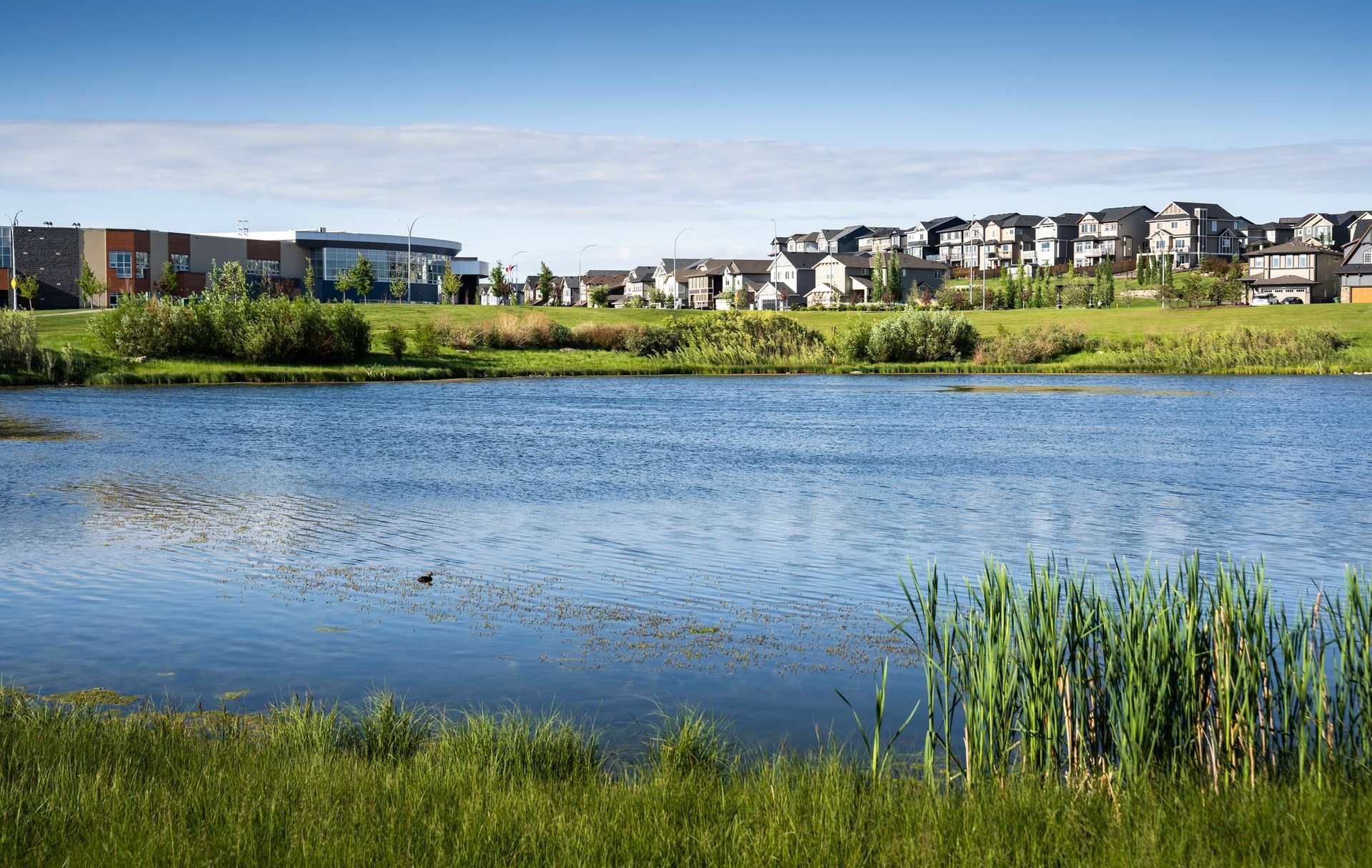 Calm lake with grassy shore, reeds, and houses along the far bank under a clear sky