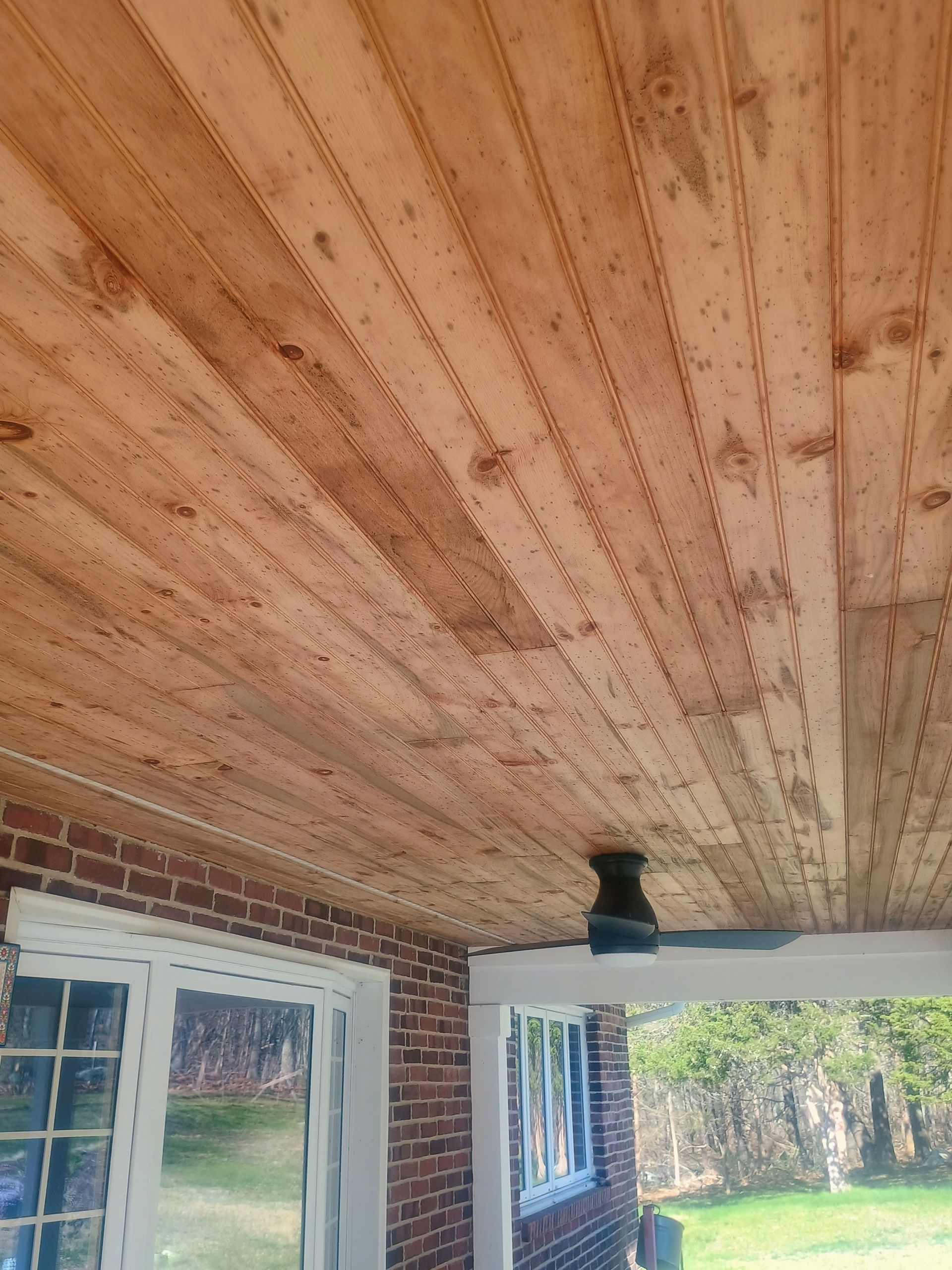Wood-paneled porch ceiling with a black fan above windows and a view of greenery outside