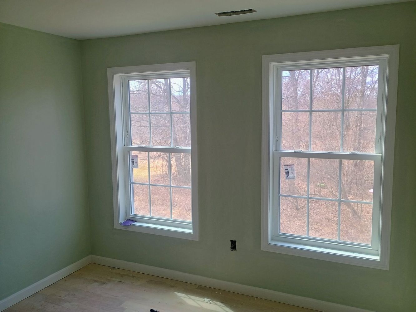 Empty pale green room with two windows and white trim, showing bare floor and outdoor trees.