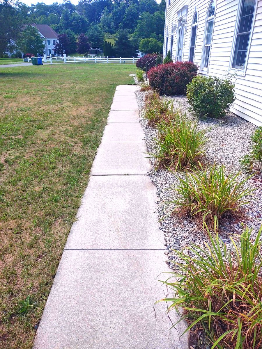 Concrete walkway beside a white house, bordered by mulch and shrubs with a grassy yard and trees beyond.