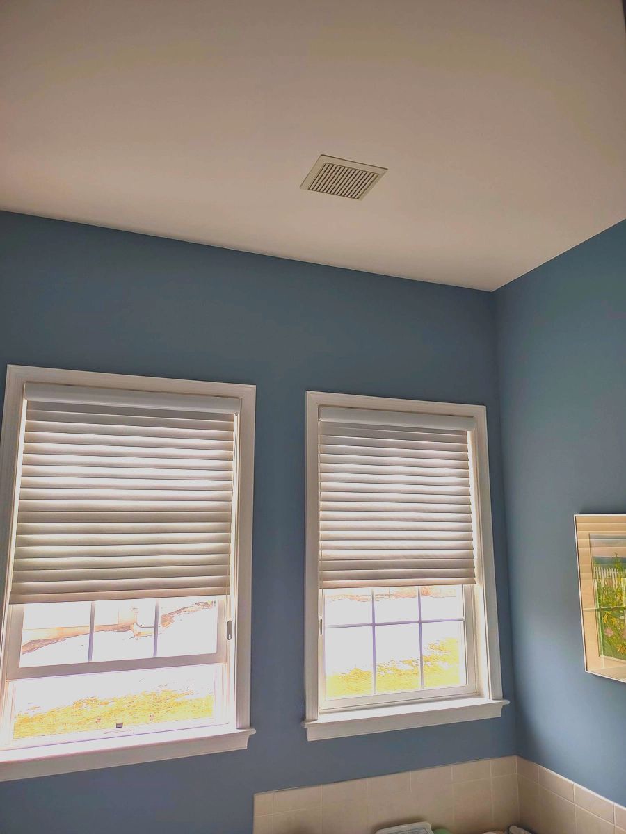 Blue room with two windows, white blinds, and beige carpet.
