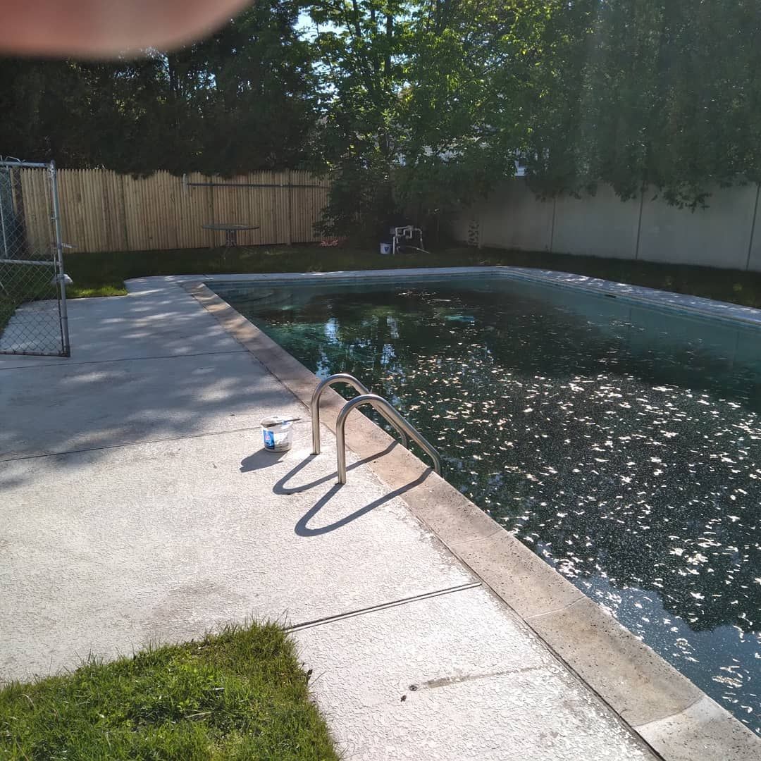 Backyard swimming pool with concrete deck, metal handrail, and trees casting shade