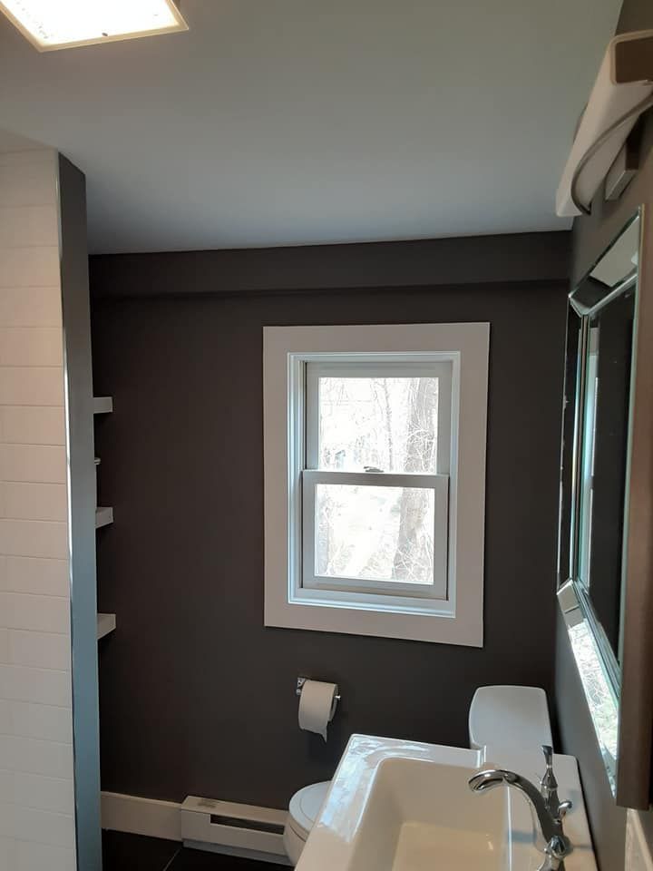 Small bathroom with dark walls, white window trim, sink, toilet paper holder, and a shower curtain.