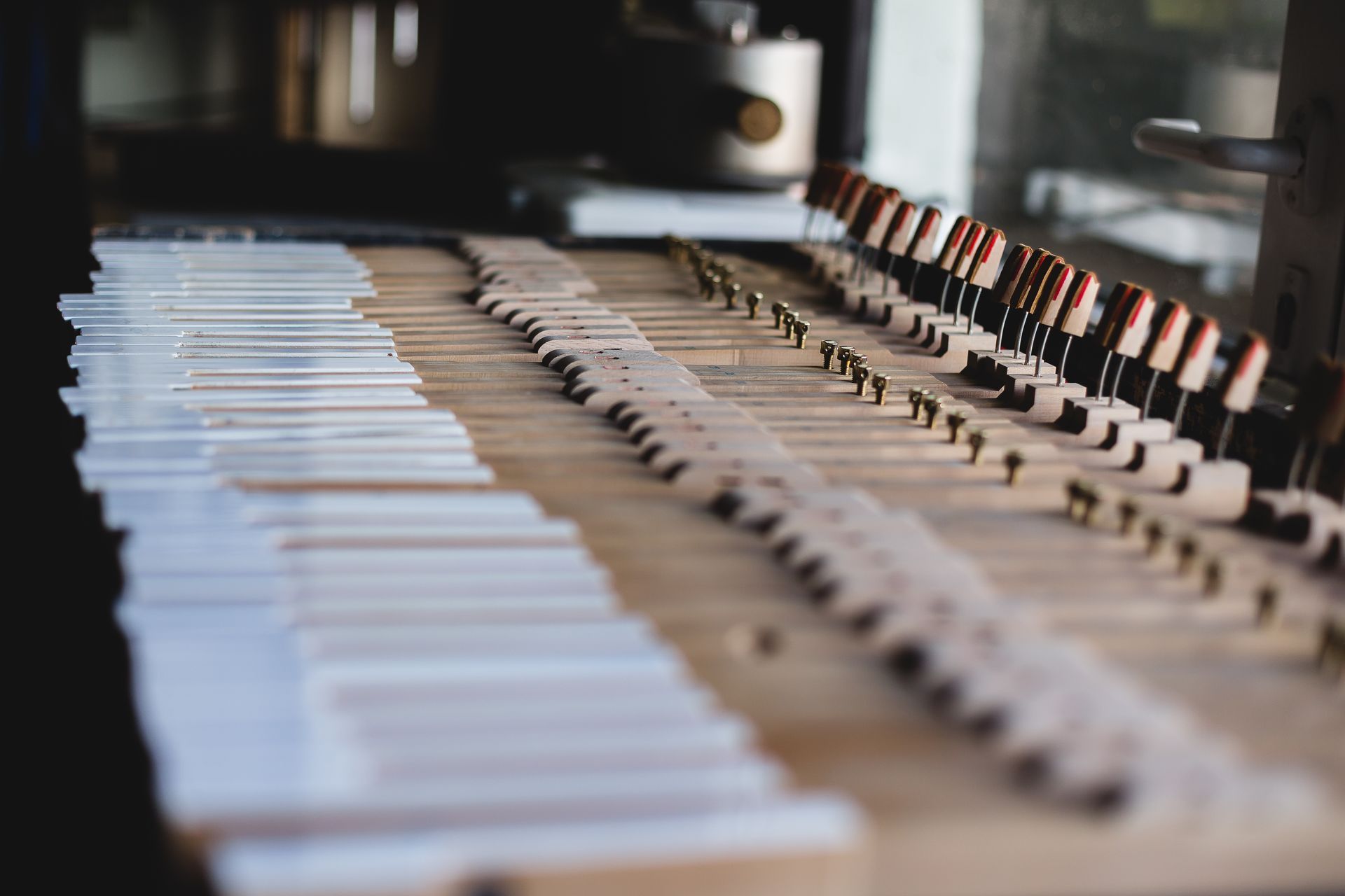 Row of piano keys and internal hammers in a softly lit close-up